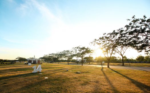 sun shining over Golden Haven memorial park lawn