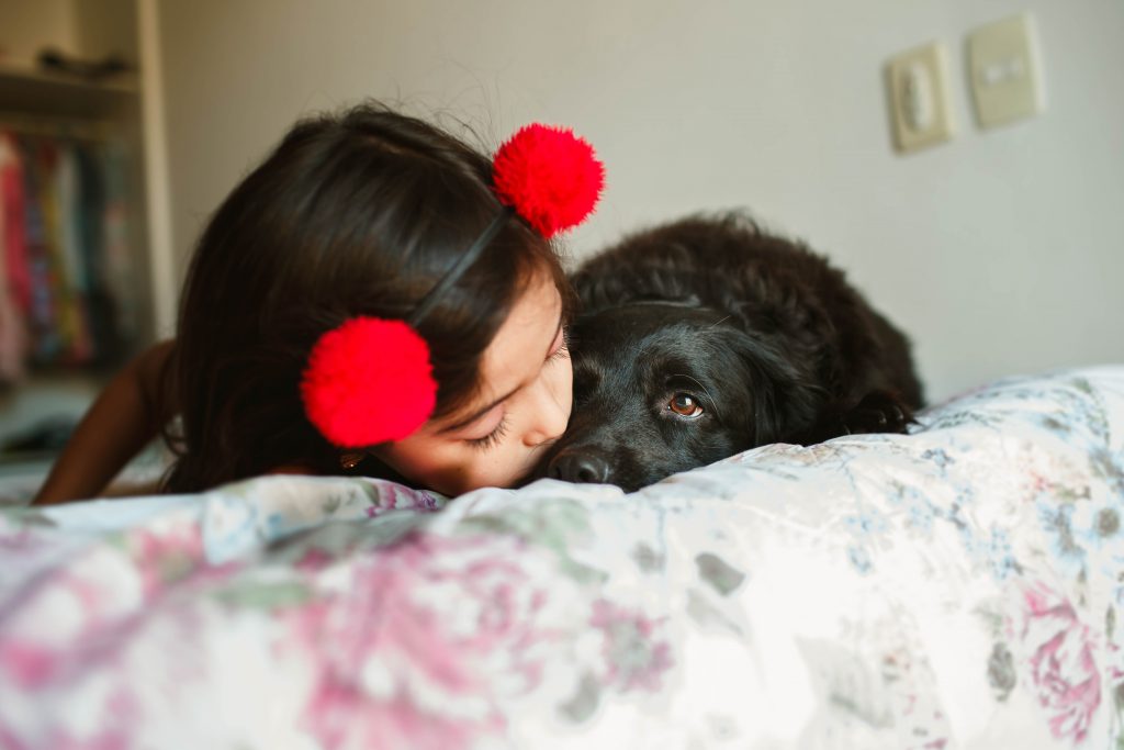 Emotional Connections with Pets